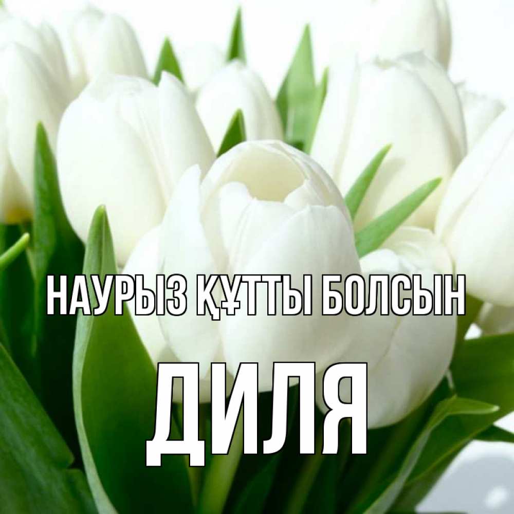 Открытка на каждый день с именем, Диля Наурыз құтты болсын цветы Прикольная открытка с пожеланием онлайн скачать бесплатно 