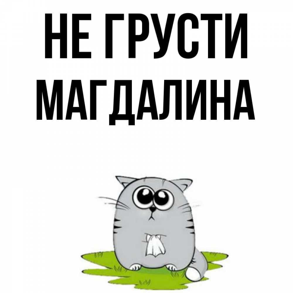 Открытка на каждый день с именем, Магдалина Не грусти грустный котяра Прикольная открытка с пожеланием онлайн скачать бесплатно 
