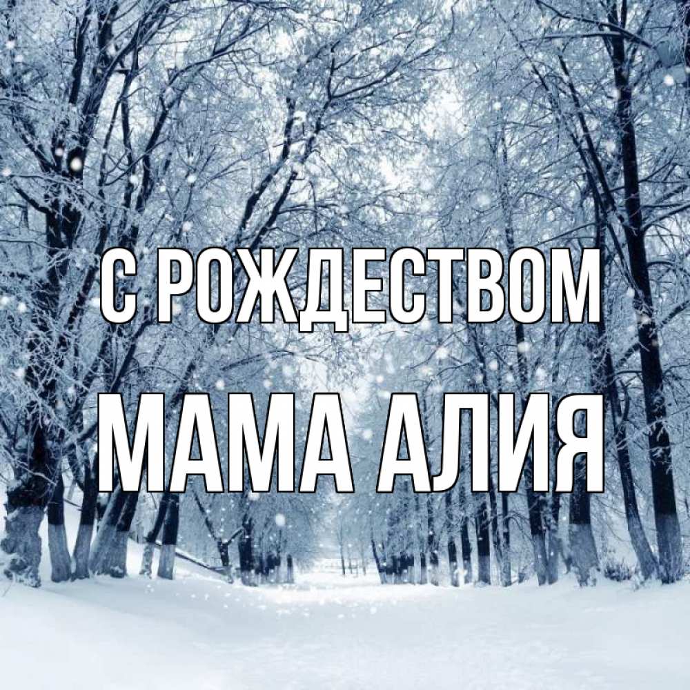 Открытка на каждый день с именем, Мама-Алия С рождеством снег, лес, парк Прикольная открытка с пожеланием онлайн скачать бесплатно 