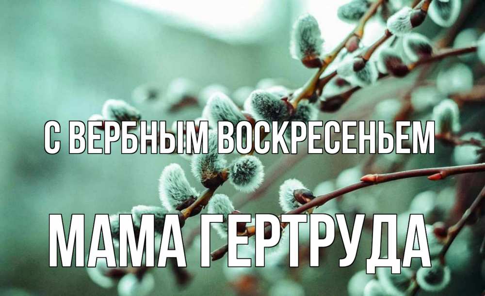 Открытка на каждый день с именем, Мама-Гертруда С вербным воскресеньем верба Прикольная открытка с пожеланием онлайн скачать бесплатно 