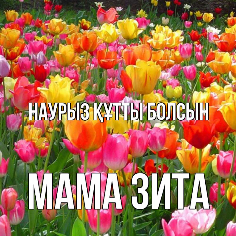 Открытка на каждый день с именем, Мама-Зита Наурыз құтты болсын на наурыз  ура ура Прикольная открытка с пожеланием онлайн скачать бесплатно 