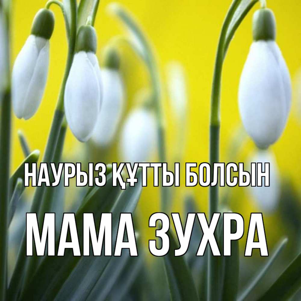 Открытка на каждый день с именем, Мама-Зухра Наурыз құтты болсын весенние цветы Прикольная открытка с пожеланием онлайн скачать бесплатно 