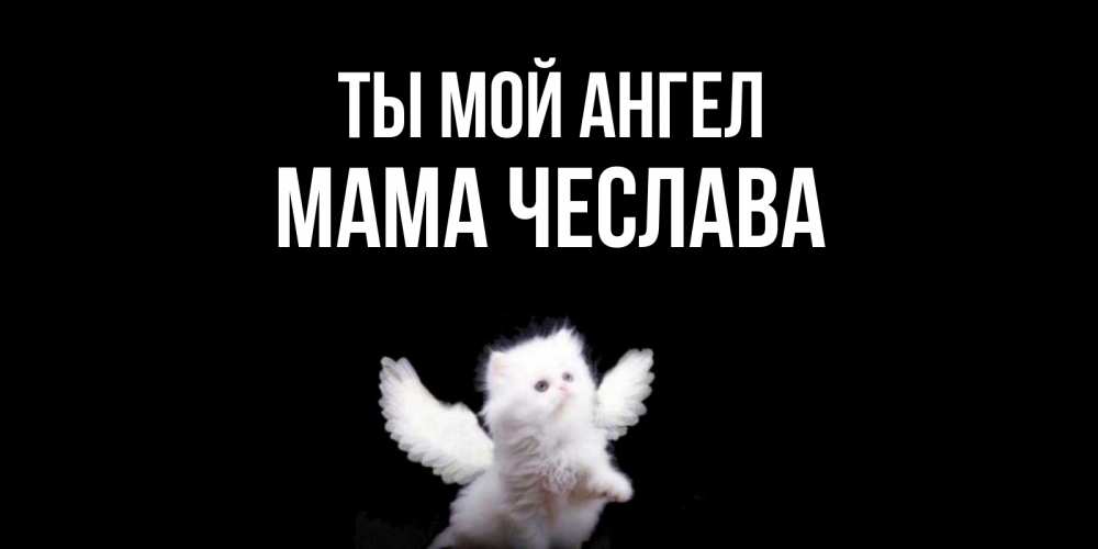 Открытка на каждый день с именем, Мама-Чеслава Ты мой ангел Кот ангел Прикольная открытка с пожеланием онлайн скачать бесплатно 
