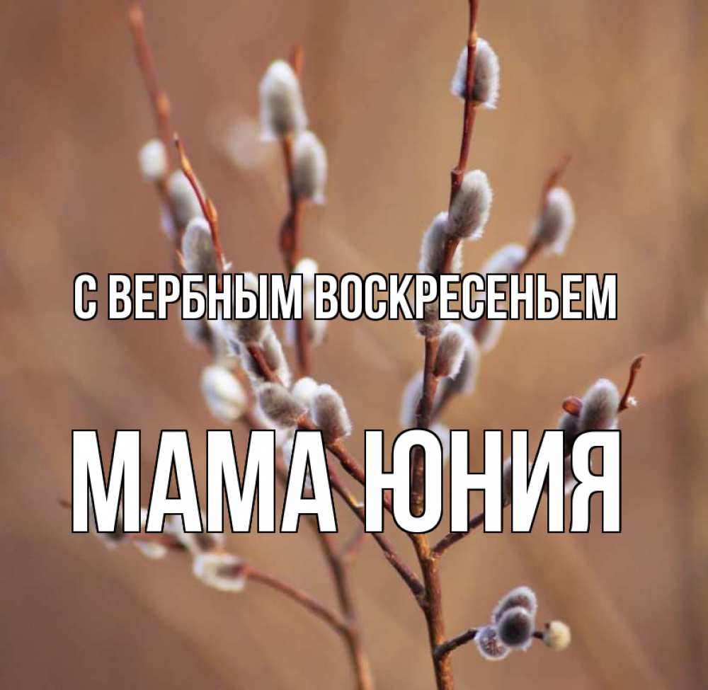 Открытка на каждый день с именем, Мама-Юния С вербным воскресеньем верба Прикольная открытка с пожеланием онлайн скачать бесплатно 