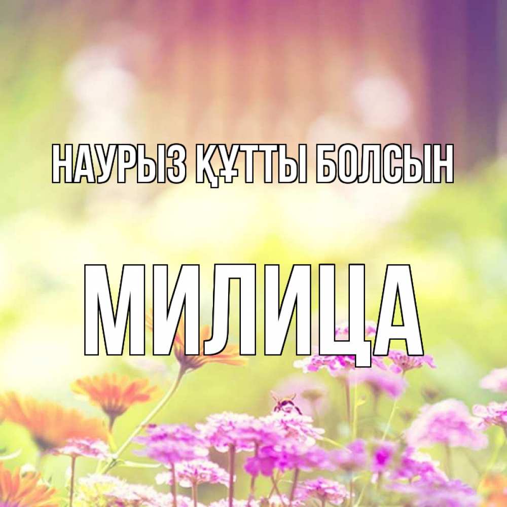 Открытка на каждый день с именем, Милица Наурыз құтты болсын цветы весна Прикольная открытка с пожеланием онлайн скачать бесплатно 
