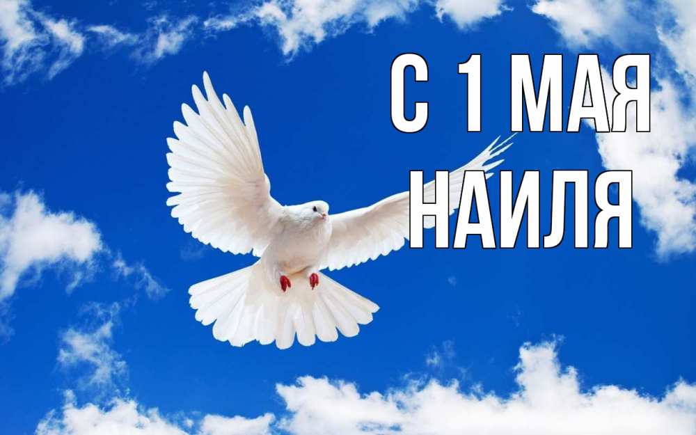 Открытка на каждый день с именем, Наиля С 1 мая С 1 мая 1 Прикольная открытка с пожеланием онлайн скачать бесплатно 