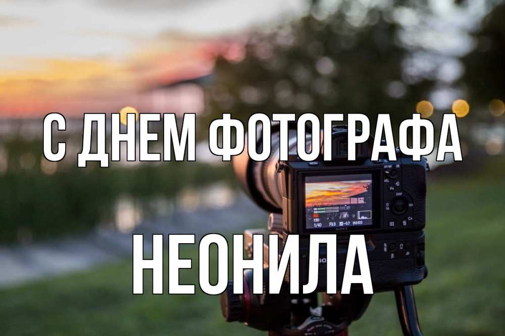 Открытка на каждый день с именем, Неонила С днем фотографа с днем фотографа Прикольная открытка с пожеланием онлайн скачать бесплатно 