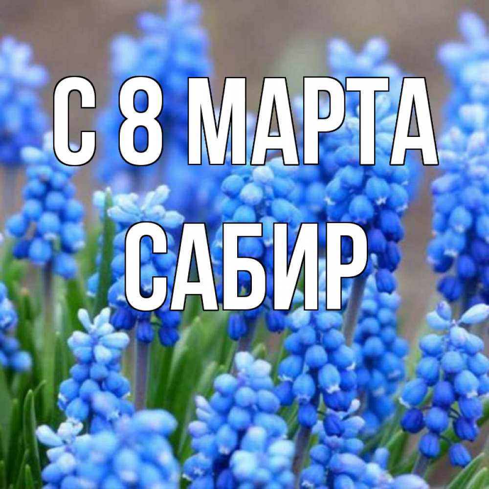 Открытка на каждый день с именем, Сабир С 8 марта Поздравительная открытка для женщин с цветами на праздничную дату Прикольная открытка с пожеланием онлайн скачать бесплатно 