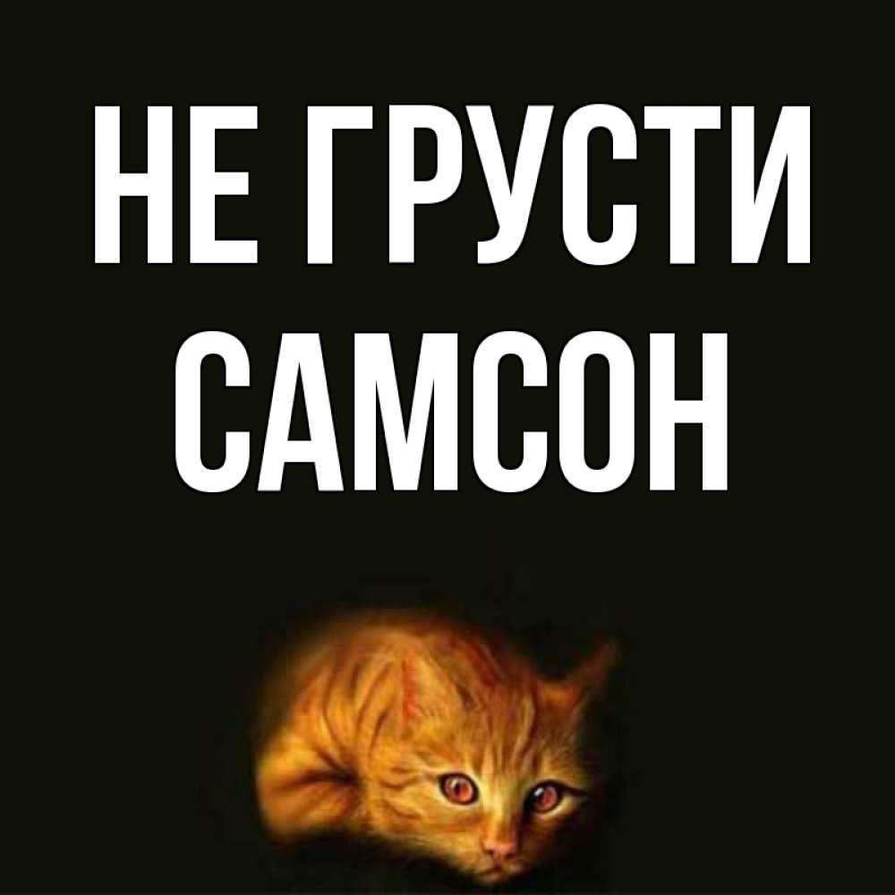 Открытка на каждый день с именем, Самсон Не грусти лежащий кот в темноте Прикольная открытка с пожеланием онлайн скачать бесплатно 