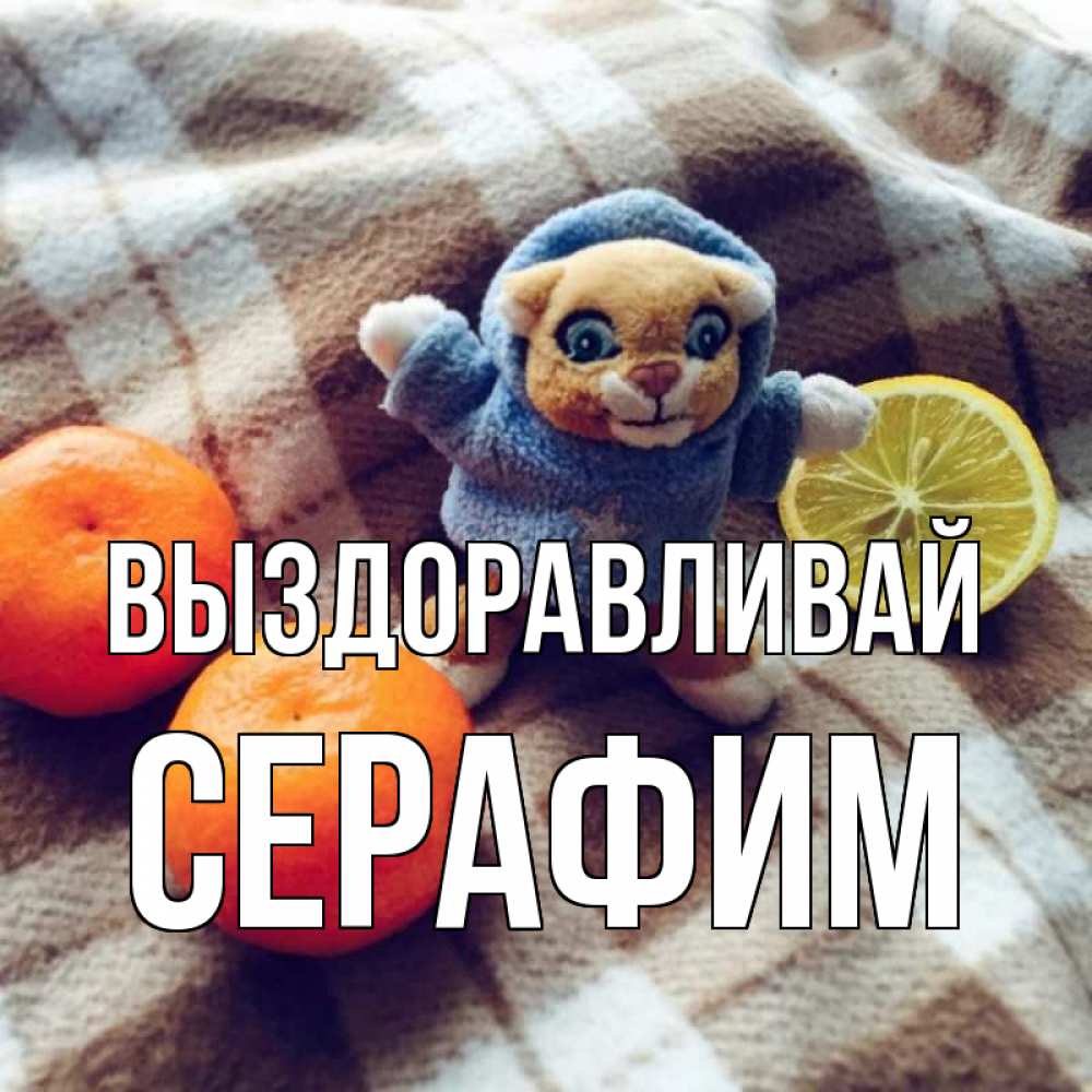 Открытка на каждый день с именем, Серафим Выздоравливай вот тебе апельсинка и лимон Прикольная открытка с пожеланием онлайн скачать бесплатно 