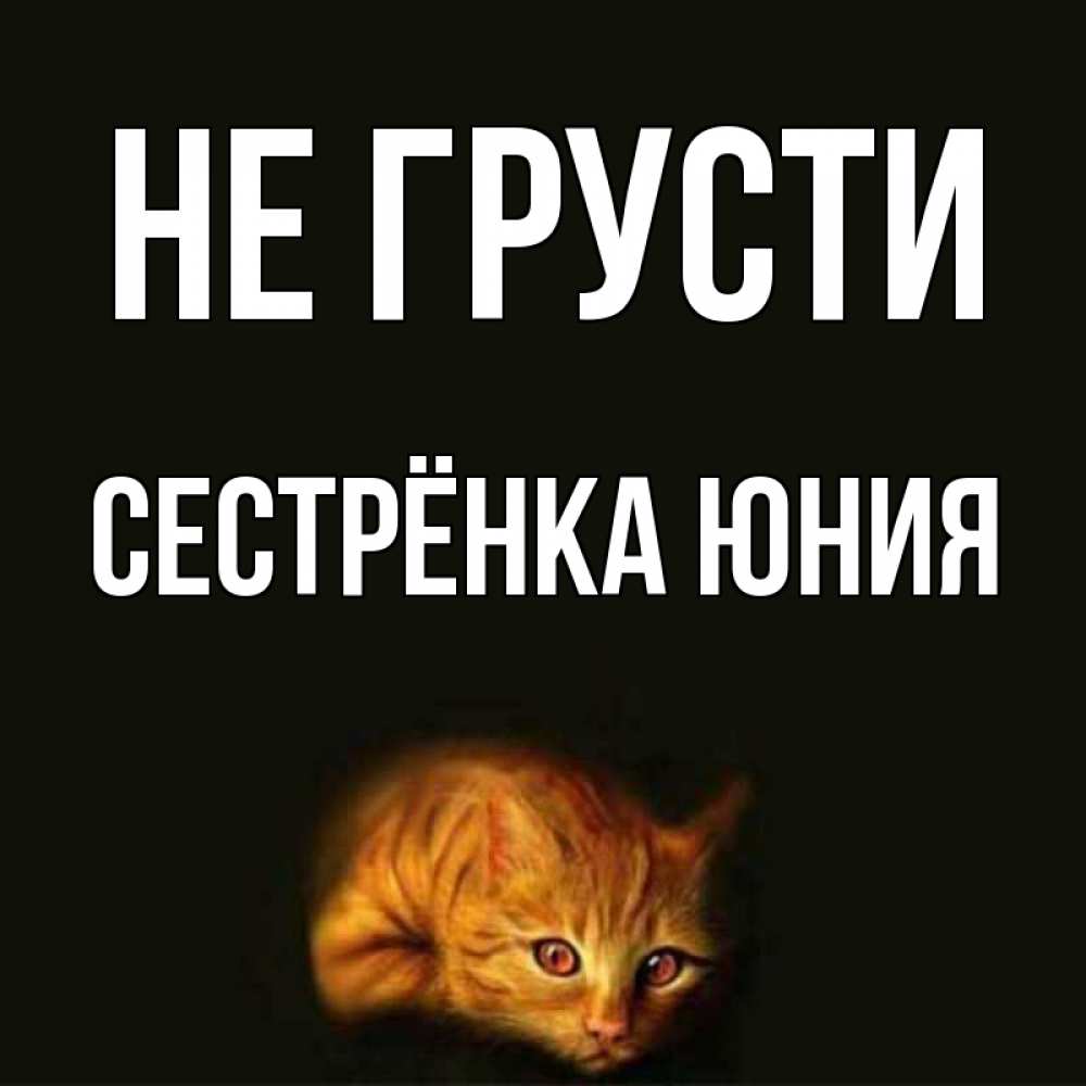 Открытка на каждый день с именем, Сестрёнка-Юния Не грусти лежащий кот в темноте Прикольная открытка с пожеланием онлайн скачать бесплатно 