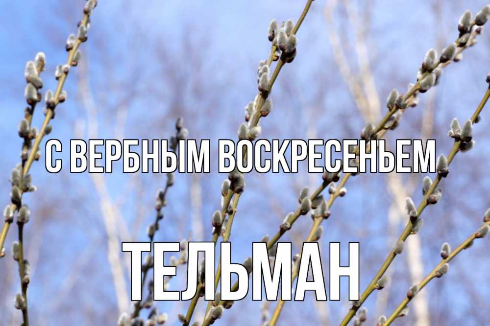 Открытка на каждый день с именем, Тельман С вербным воскресеньем верба Прикольная открытка с пожеланием онлайн скачать бесплатно 