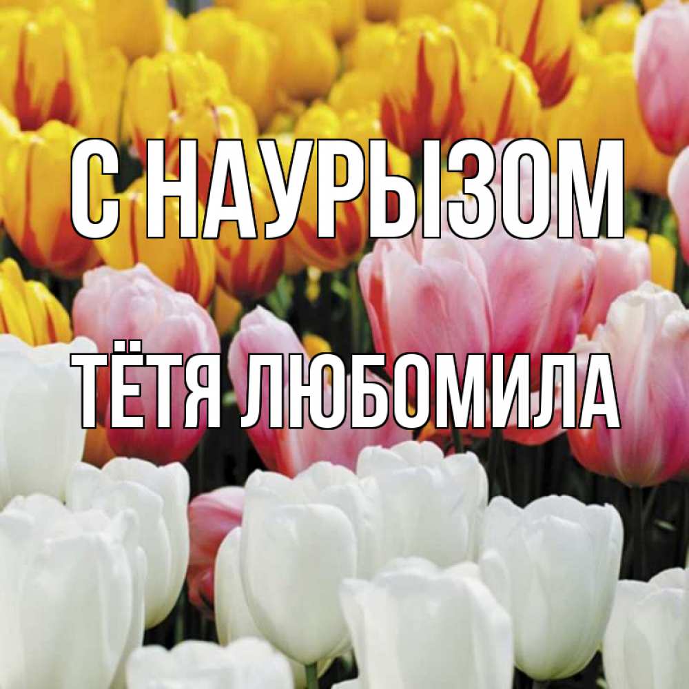 Открытка на каждый день с именем, Тётя-Любомила С наурызом разноцветные цветы Прикольная открытка с пожеланием онлайн скачать бесплатно 