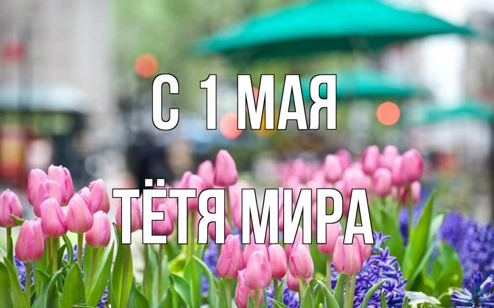 Открытка на каждый день с именем, Тётя-Мира С 1 мая С 1 мая Прикольная открытка с пожеланием онлайн скачать бесплатно 