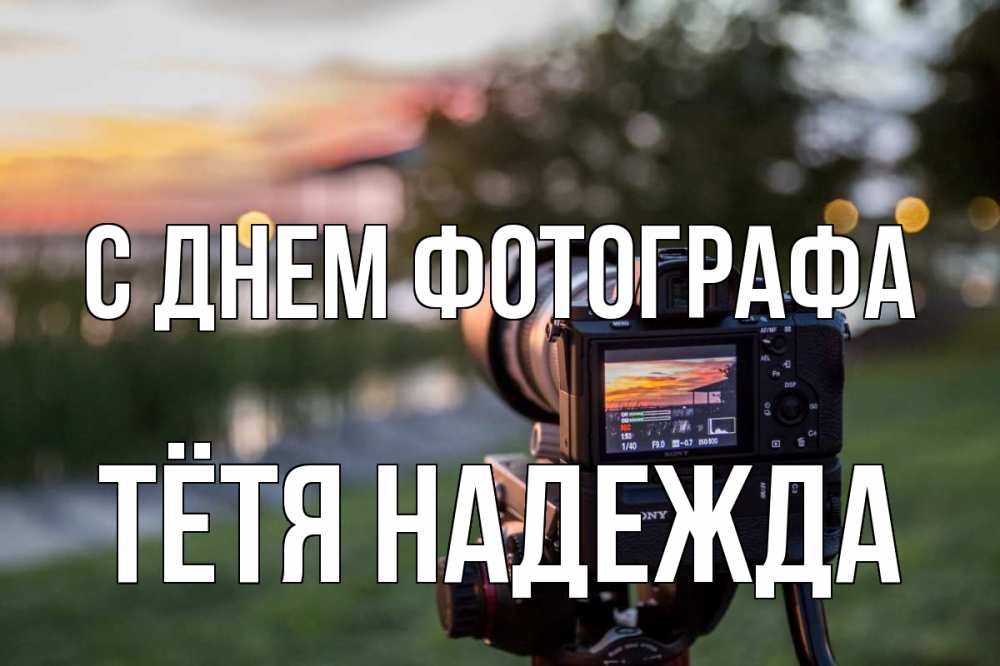Открытка на каждый день с именем, Тётя-Надежда С днем фотографа с днем фотографа Прикольная открытка с пожеланием онлайн скачать бесплатно 