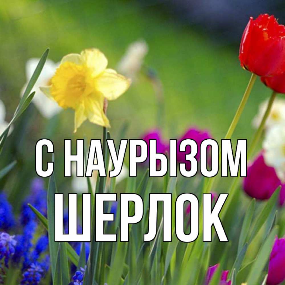 Открытка на каждый день с именем, Шерлок С наурызом праздник весны наурыз 3 Прикольная открытка с пожеланием онлайн скачать бесплатно 
