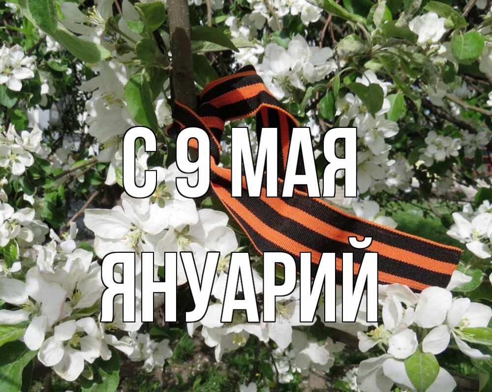Открытка на каждый день с именем, Януарий С 9 мая 9 мая Прикольная открытка с пожеланием онлайн скачать бесплатно 