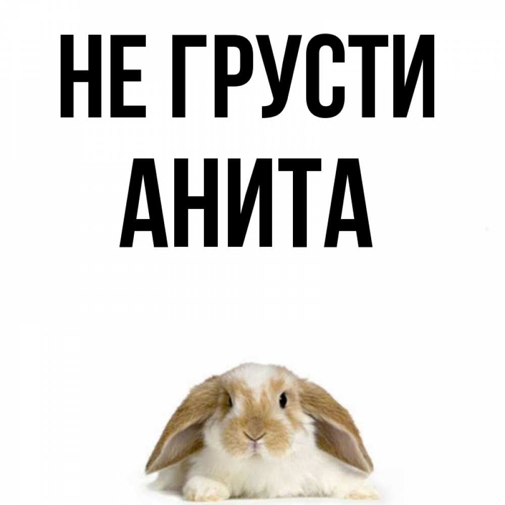 Картинки мыть, анита открытки с надписями
