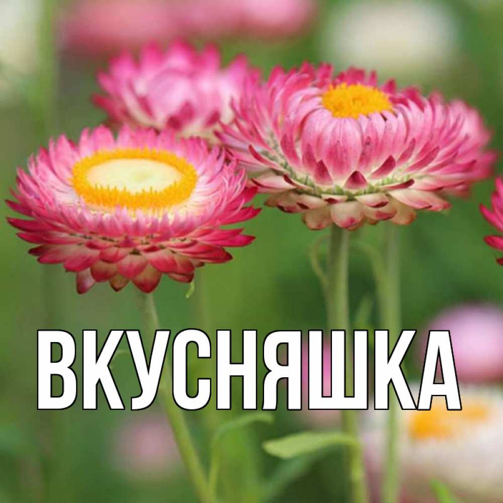 Открытка на каждый день с именем, Вкусняшка Главная подарок на международный женский день Прикольная открытка с пожеланием онлайн скачать бесплатно 