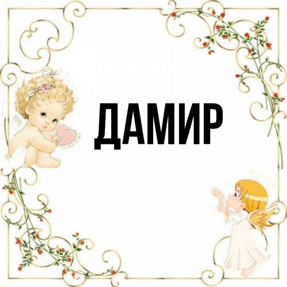 Прикол картинки, открытка дамир