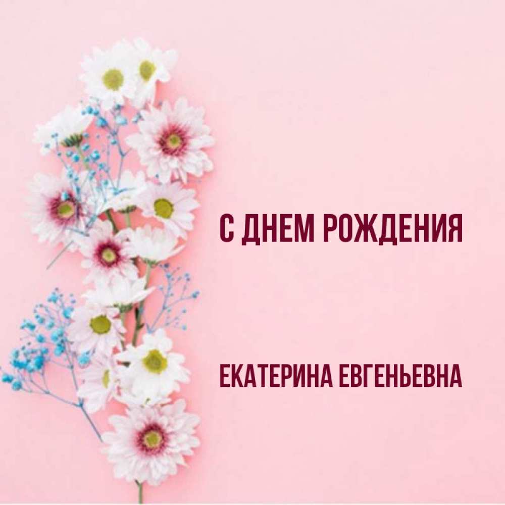 Екатерина евгеньевна с днем рождения картинки