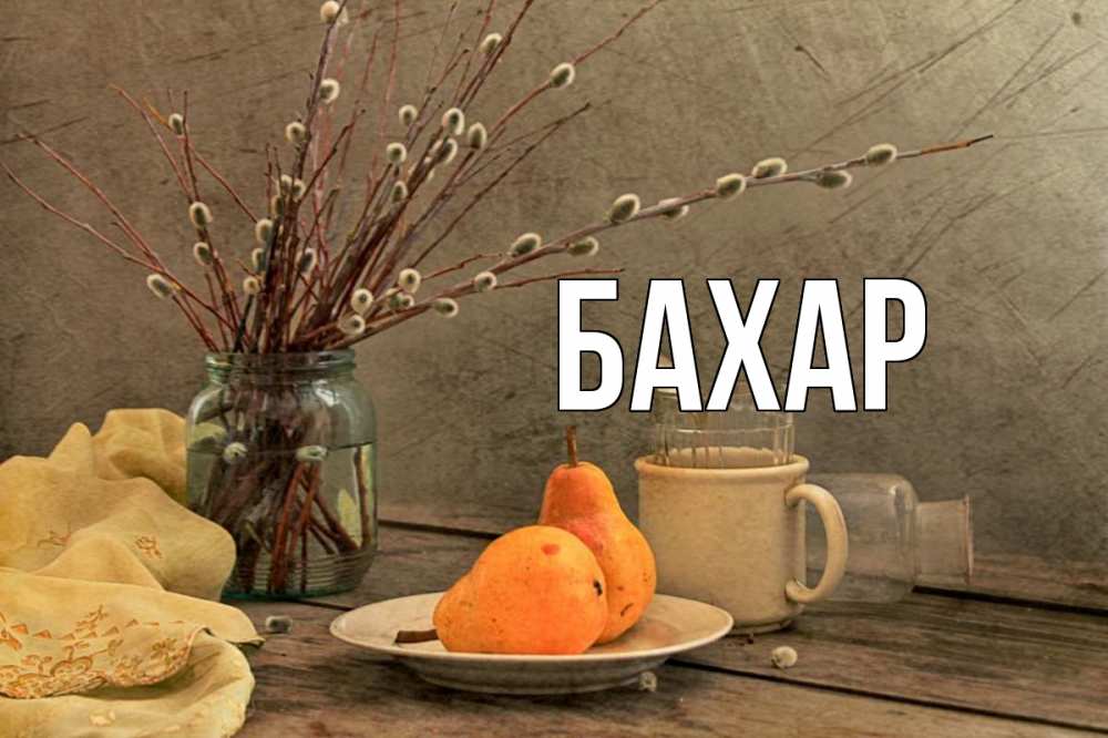 Открытка на каждый день с именем, Бахар Главная верба Прикольная открытка с пожеланием онлайн скачать бесплатно 