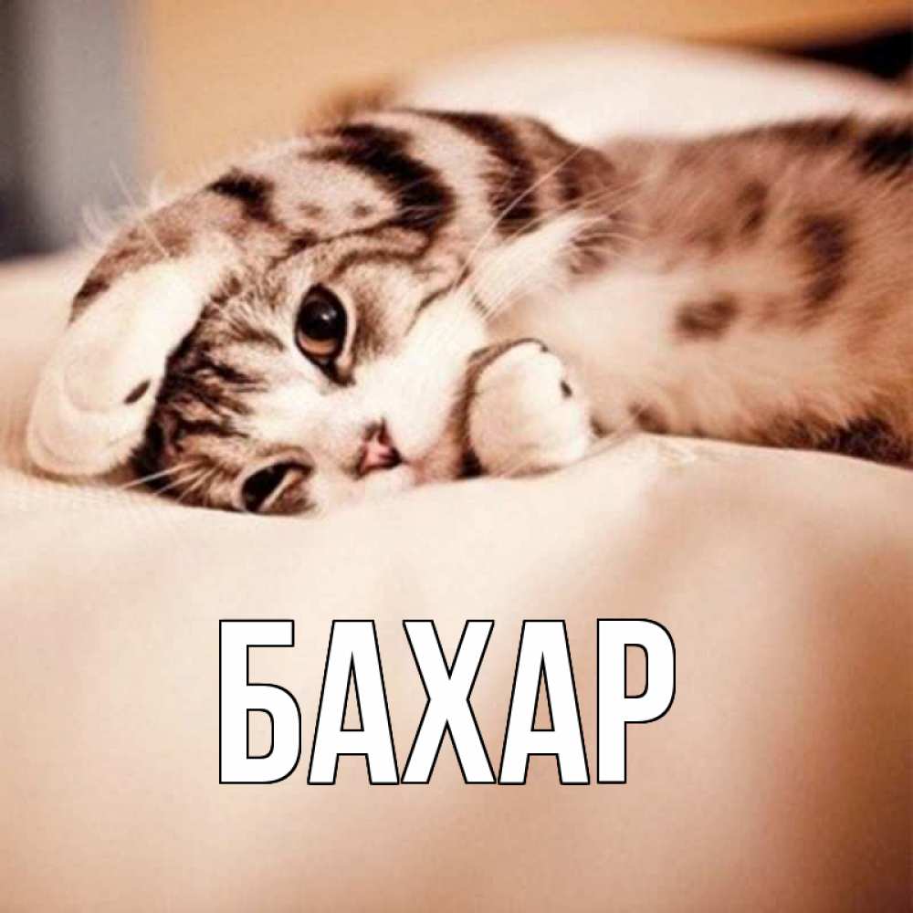 Картинка  с именем , Бахар