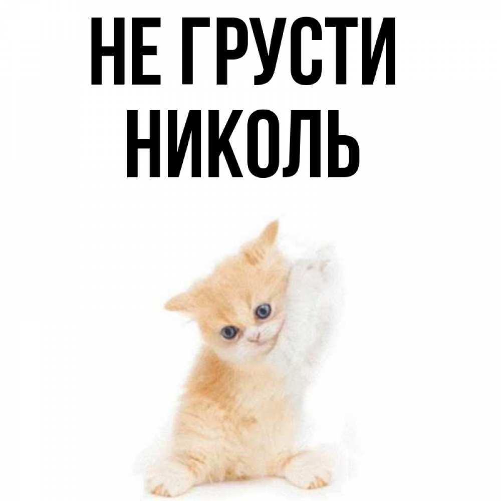 Красивые, картинки с надписью не грусти я рядом