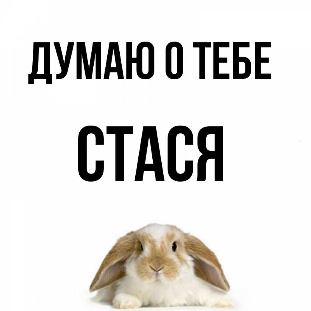 Стася имя