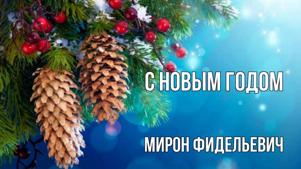 Картинка С новым годом, Мирон Фидельевич