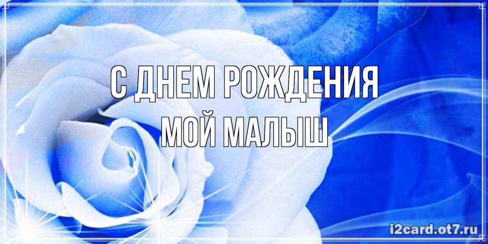 Открытка на каждый день с именем, Мой-малыш С днем рождения белая роза на голубом фоне Прикольная открытка с пожеланием онлайн скачать бесплатно 