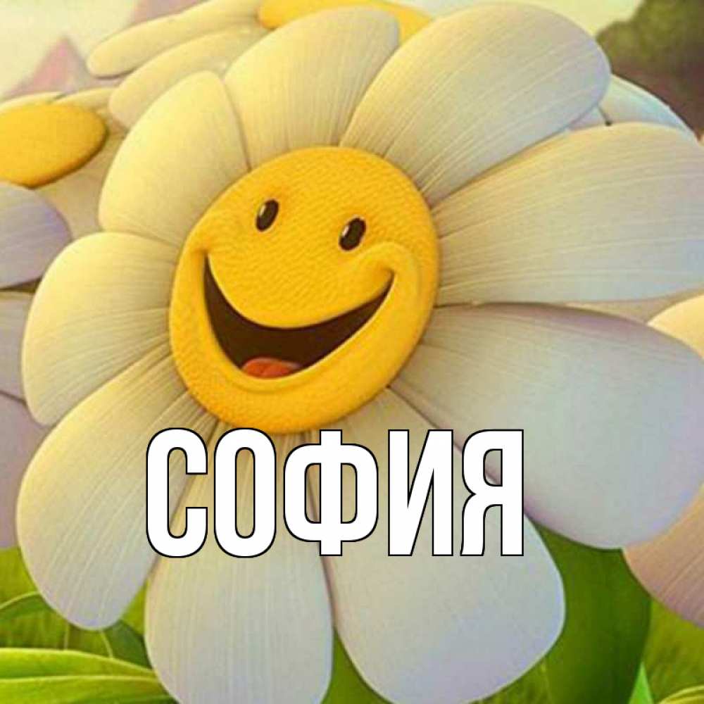 Открытка на каждый день с именем, София Главная подписать открытку своим текстом Прикольная открытка с пожеланием онлайн скачать бесплатно 