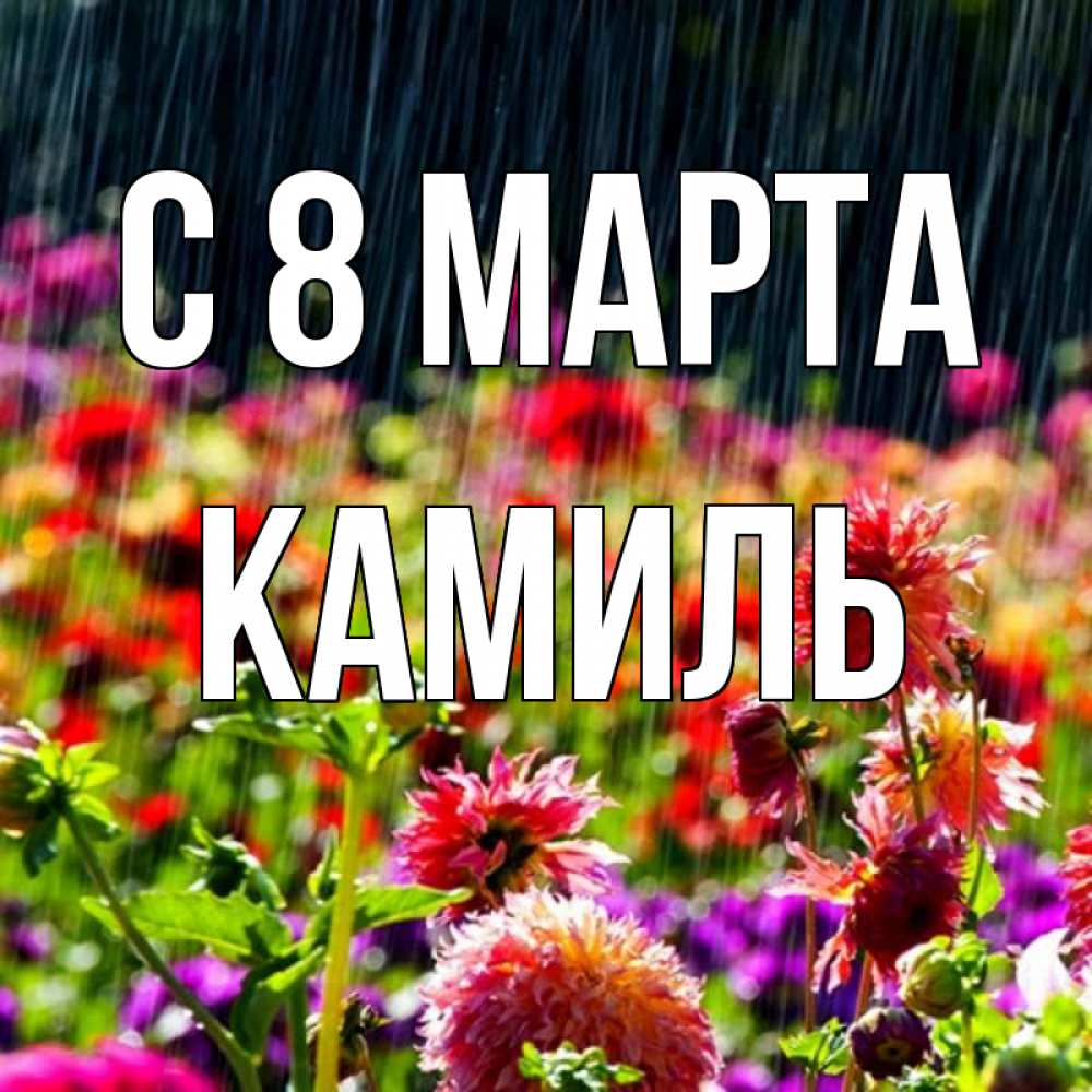 Картинка С 8 МАРТА, Камиль