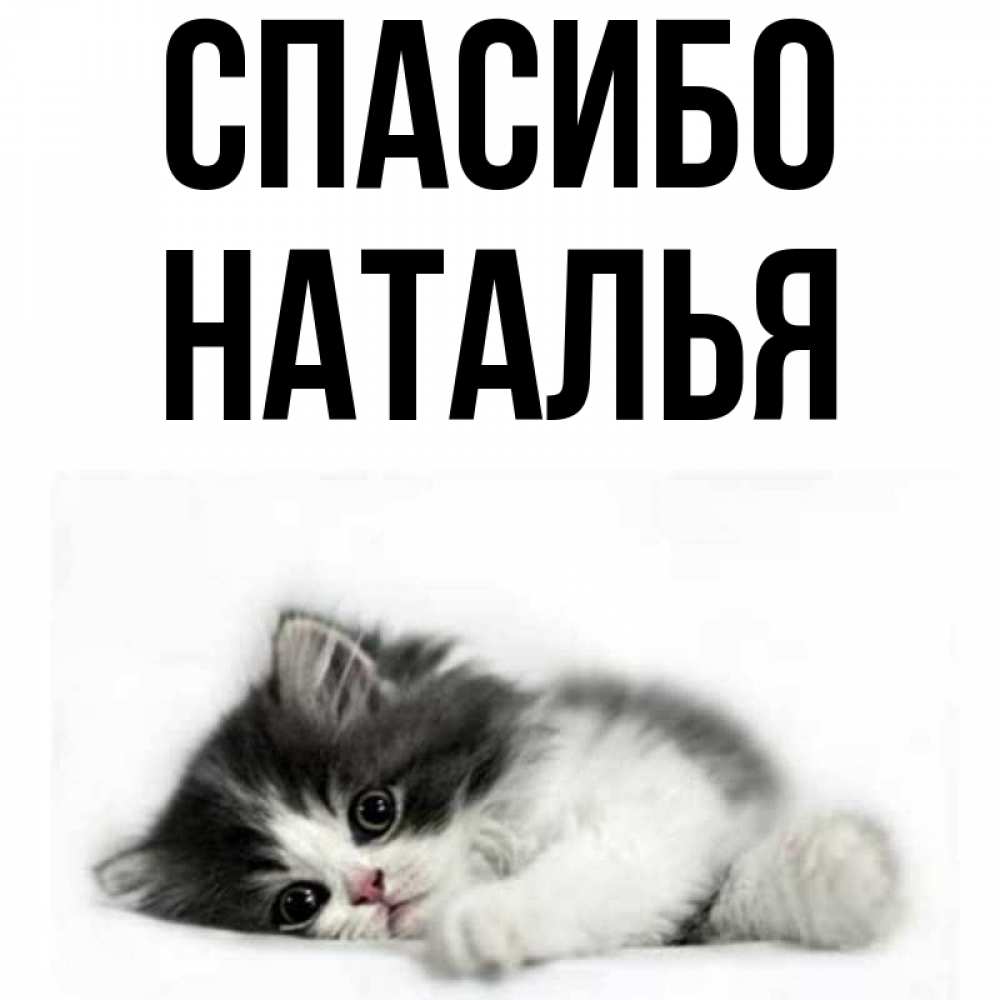 Спасибо наташенька открытки, февраль месяц картинки