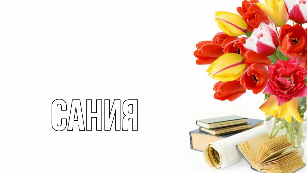 Открытка на каждый день с именем, Сания Главная с днем учителя Прикольная открытка с пожеланием онлайн скачать бесплатно 