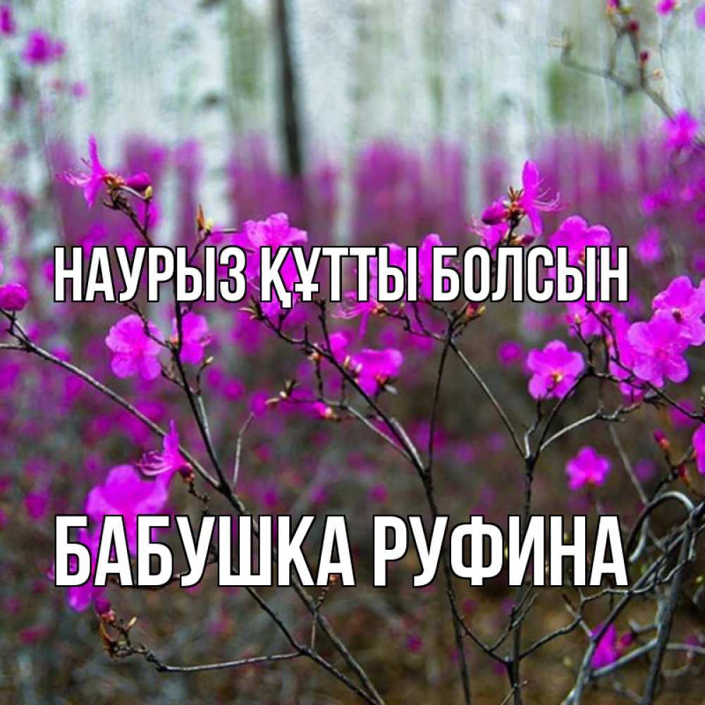 Открытка на каждый день с именем, Бабушка-Руфина Наурыз құтты болсын дикие цветы Прикольная открытка с пожеланием онлайн скачать бесплатно 