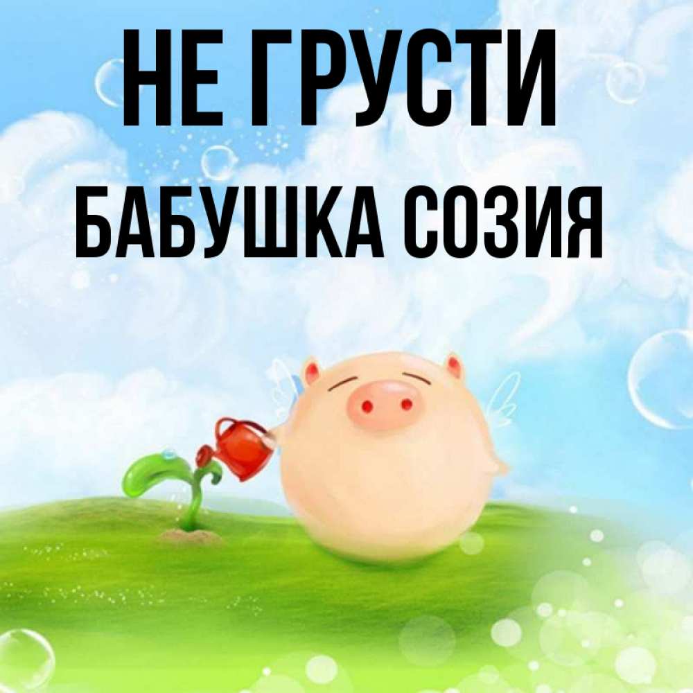 Открытка на каждый день с именем, Бабушка-Созия Не грусти поливает цветок порося Прикольная открытка с пожеланием онлайн скачать бесплатно 
