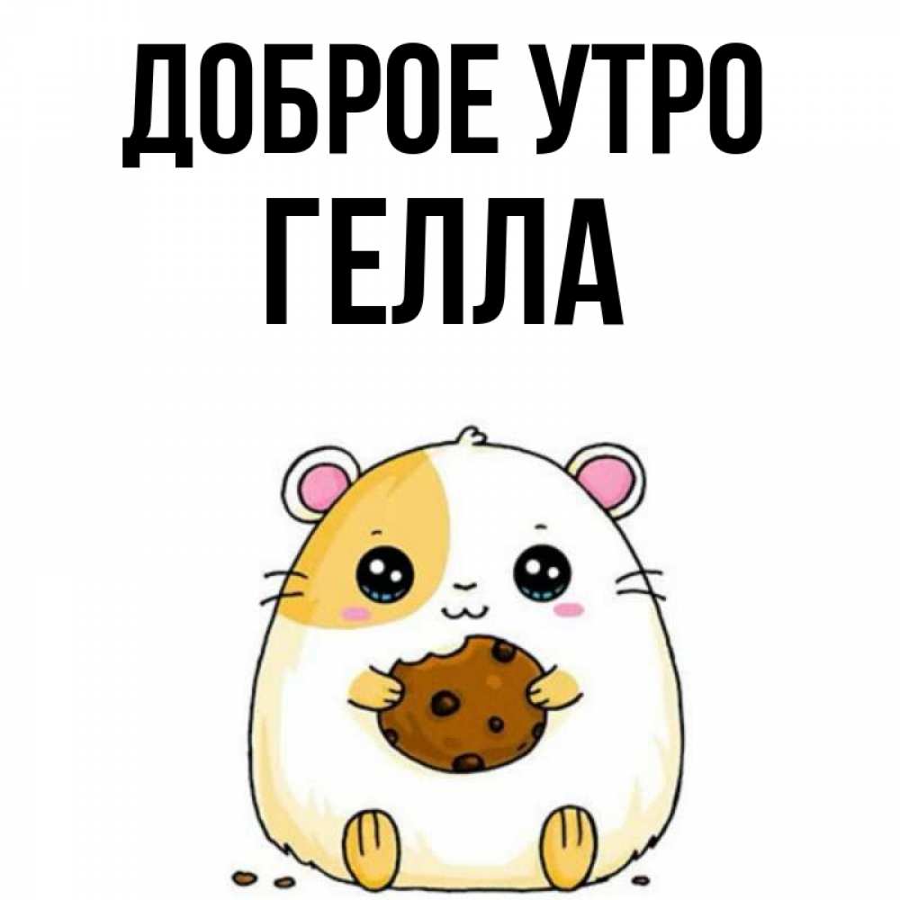 Открытка на каждый день с именем, Гелла Доброе утро есть печеньку. Утречко Прикольная открытка с пожеланием онлайн скачать бесплатно 