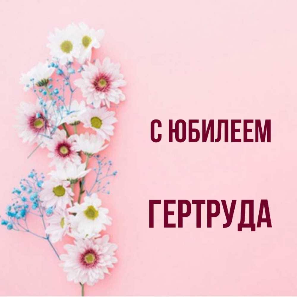 Открытка на каждый день с именем, Гертруда С юбилеем Родная моя с днем рождения тебя картинка с цветами белыми и голубыми Прикольная открытка с пожеланием онлайн скачать бесплатно 