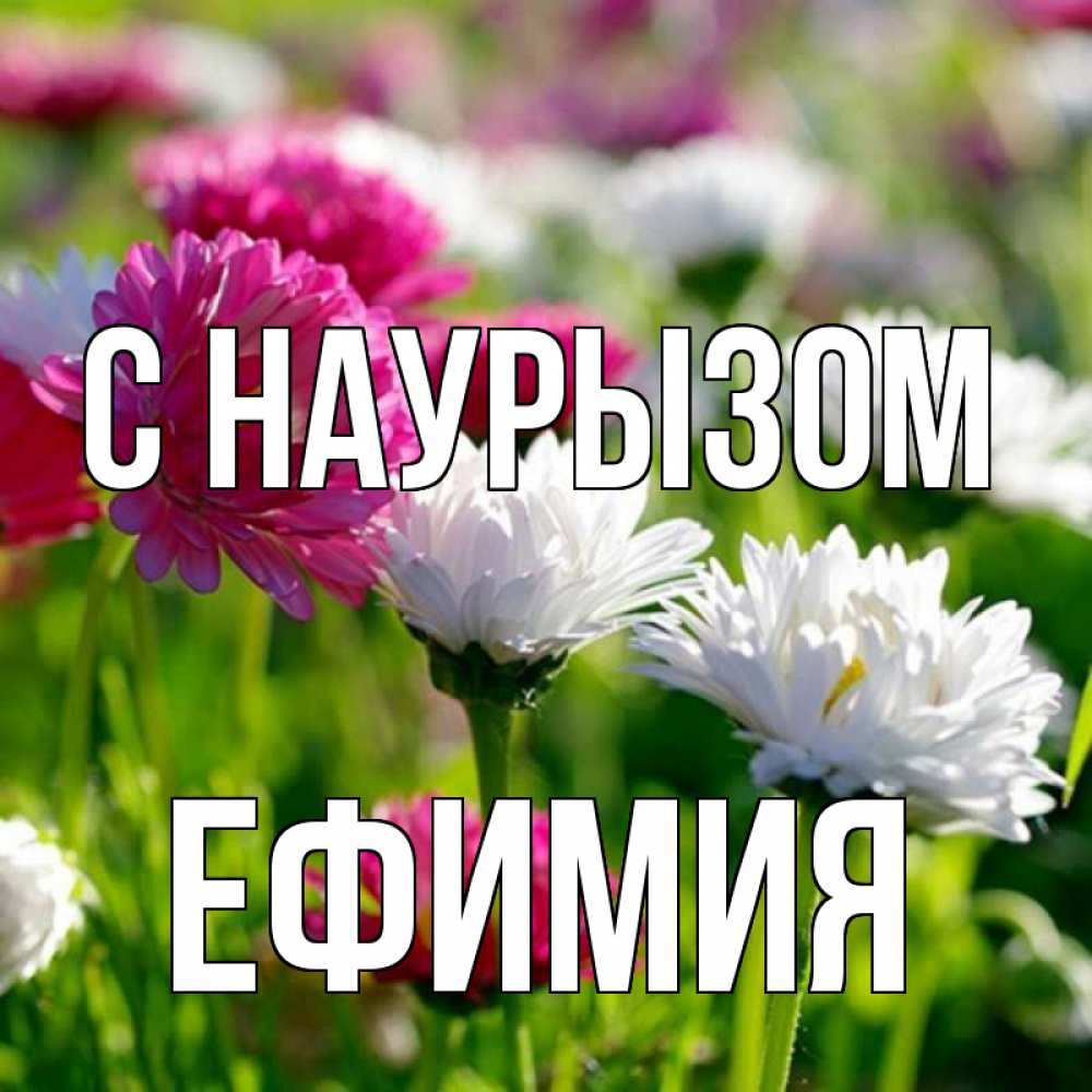 Открытка на каждый день с именем, Ефимия С наурызом праздник весны наурыз красота Прикольная открытка с пожеланием онлайн скачать бесплатно 