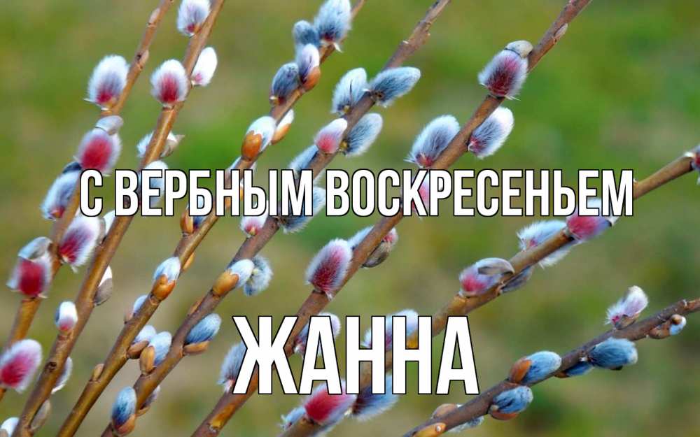 Открытка на каждый день с именем, Жанна С вербным воскресеньем верба Прикольная открытка с пожеланием онлайн скачать бесплатно 