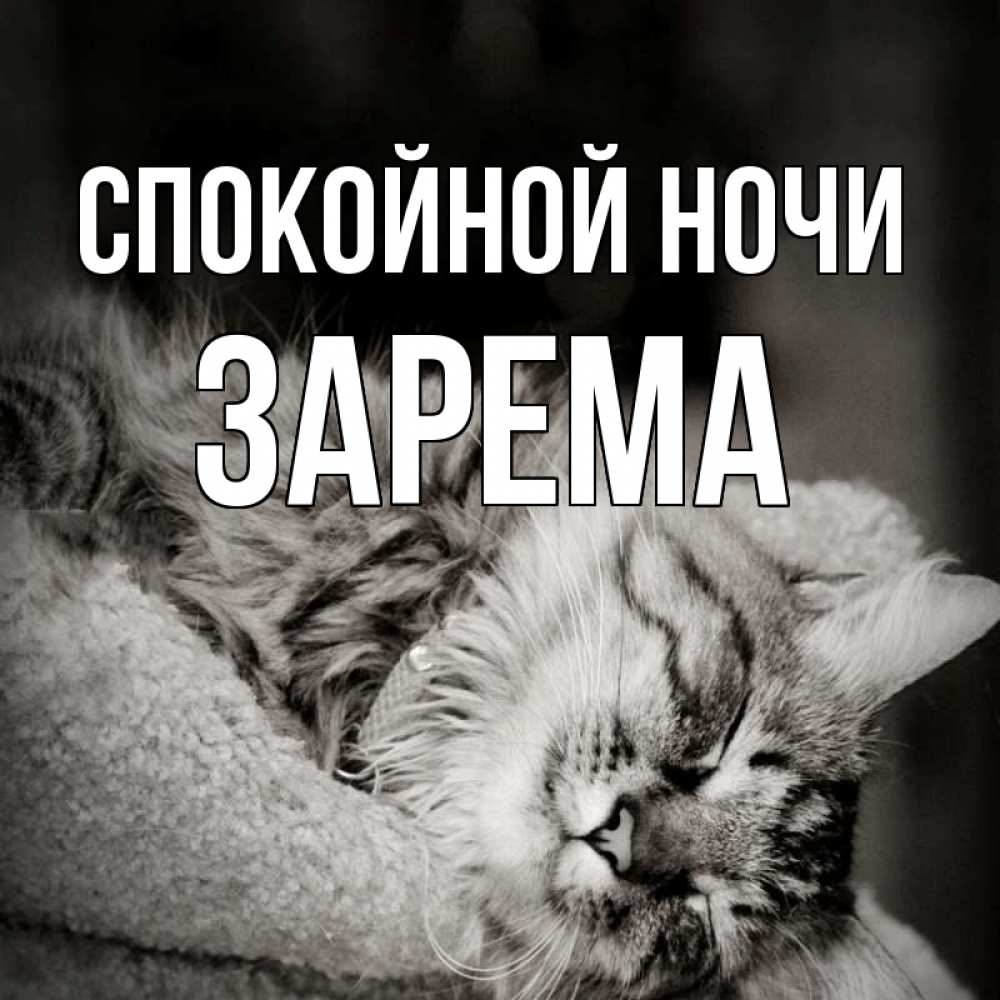 Открытка на каждый день с именем, Зарема Спокойной ночи котярик пушистый Прикольная открытка с пожеланием онлайн скачать бесплатно 