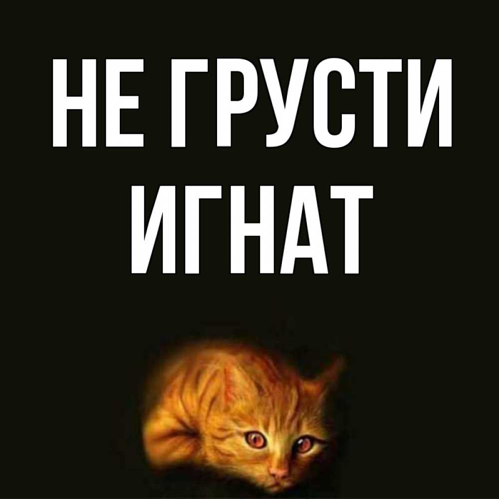 Открытка на каждый день с именем, Игнат Не грусти лежащий кот в темноте Прикольная открытка с пожеланием онлайн скачать бесплатно 