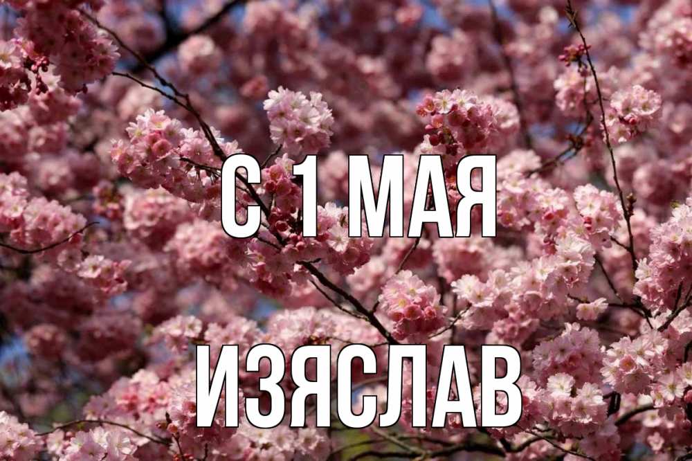 Открытка на каждый день с именем, Изяслав С 1 мая С 1 мая Прикольная открытка с пожеланием онлайн скачать бесплатно 