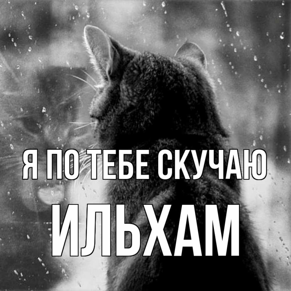 Открытка на каждый день с именем, Ильхам Я по тебе скучаю скорее ко мне приходи 1 Прикольная открытка с пожеланием онлайн скачать бесплатно 