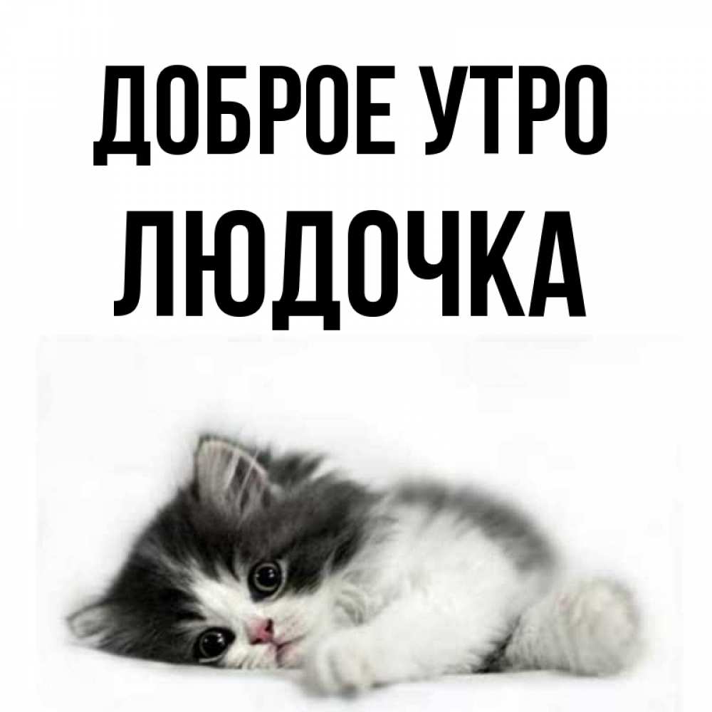 Открытка на каждый день с именем, ЛЮДОЧКА Доброе утро кот лапки Прикольная открытка с пожеланием онлайн скачать бесплатно 