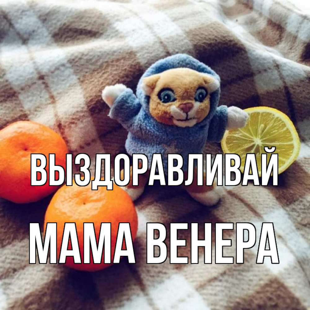 Открытка на каждый день с именем, Мама-Венера Выздоравливай вот тебе апельсинка и лимон Прикольная открытка с пожеланием онлайн скачать бесплатно 