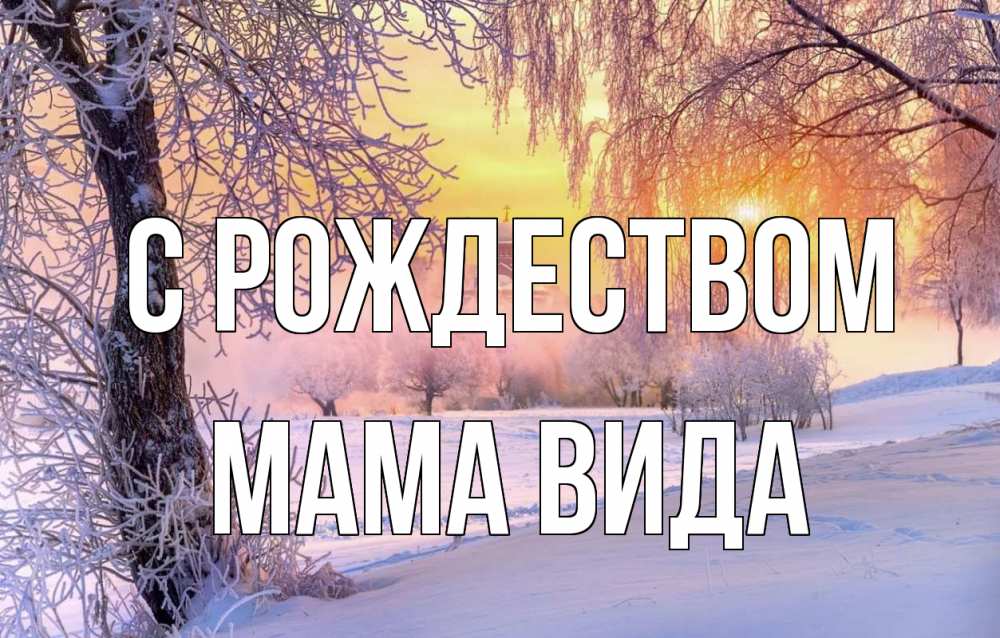 Открытка на каждый день с именем, Мама-Вида С рождеством рождество, лес, зима 1 Прикольная открытка с пожеланием онлайн скачать бесплатно 