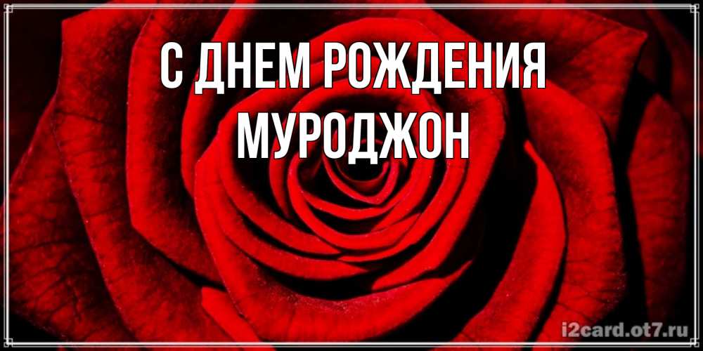 Открытка на каждый день с именем, Муроджон С днем рождения алая роза Прикольная открытка с пожеланием онлайн скачать бесплатно 