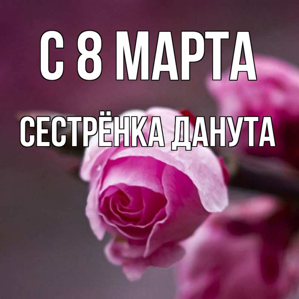 Открытка на каждый день с именем, Сестрёнка-Данута С 8 МАРТА весна Прикольная открытка с пожеланием онлайн скачать бесплатно 